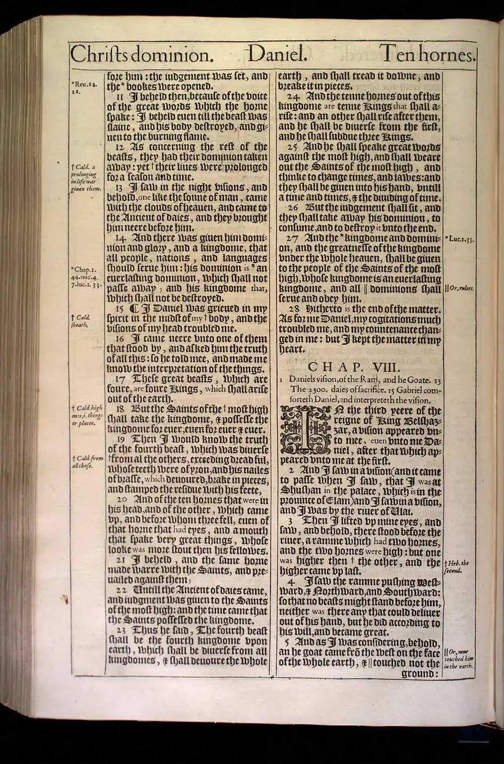 Daniel Chapter 7 Original 1611 KJV Bible Scan
