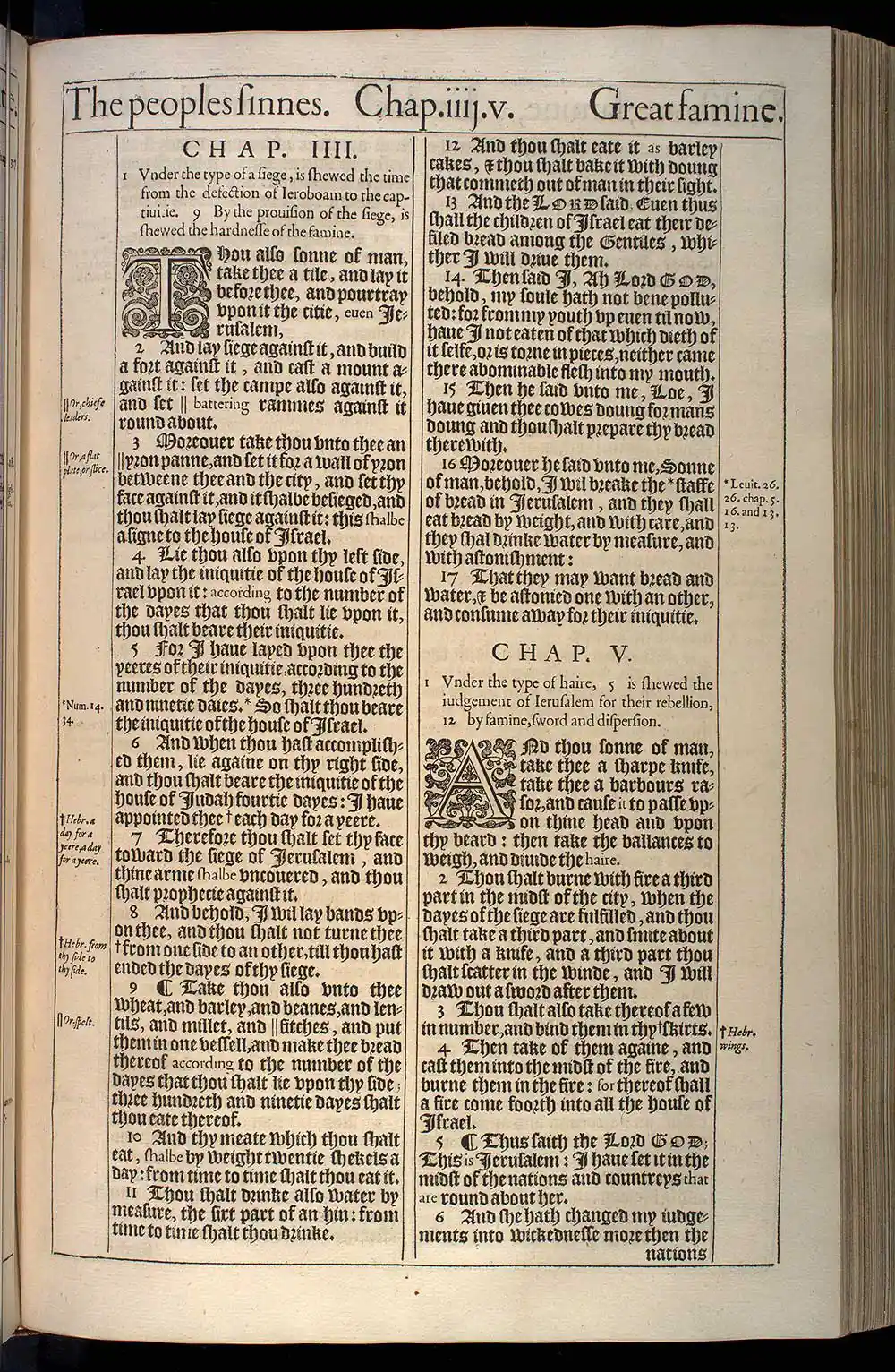 Ezekiel Chapter 5 Original 1611 KJV Bible Scan