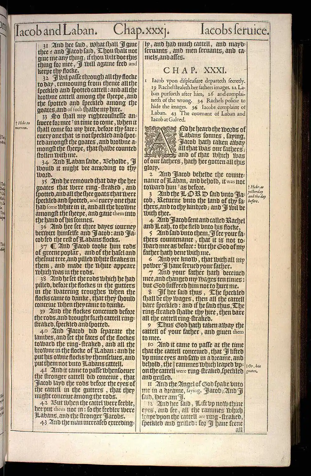 Genesis Chapter 30 Original 1611 KJV Bible Scan