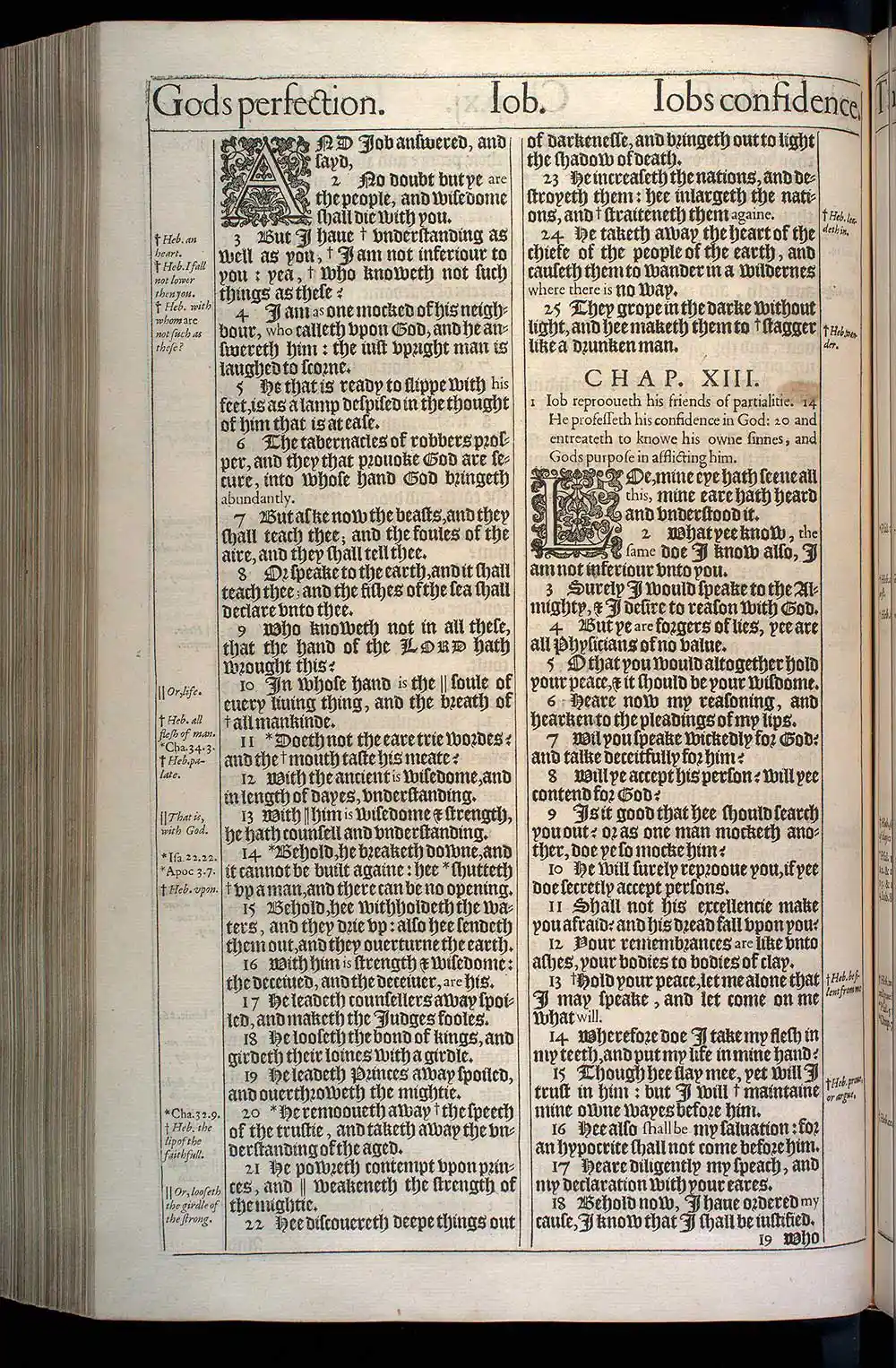 Job Chapter 13 Original 1611 KJV Bible Scan