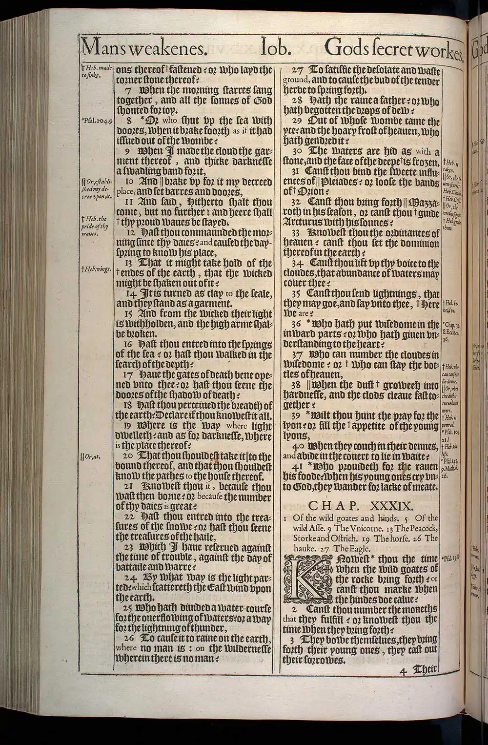 Job Chapter 39 Original 1611 KJV Bible Scan