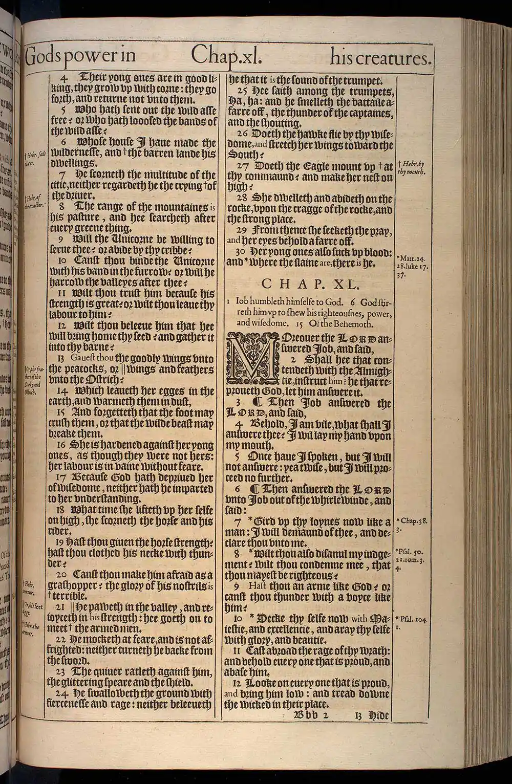 Job Chapter 39 Original 1611 KJV Bible Scan