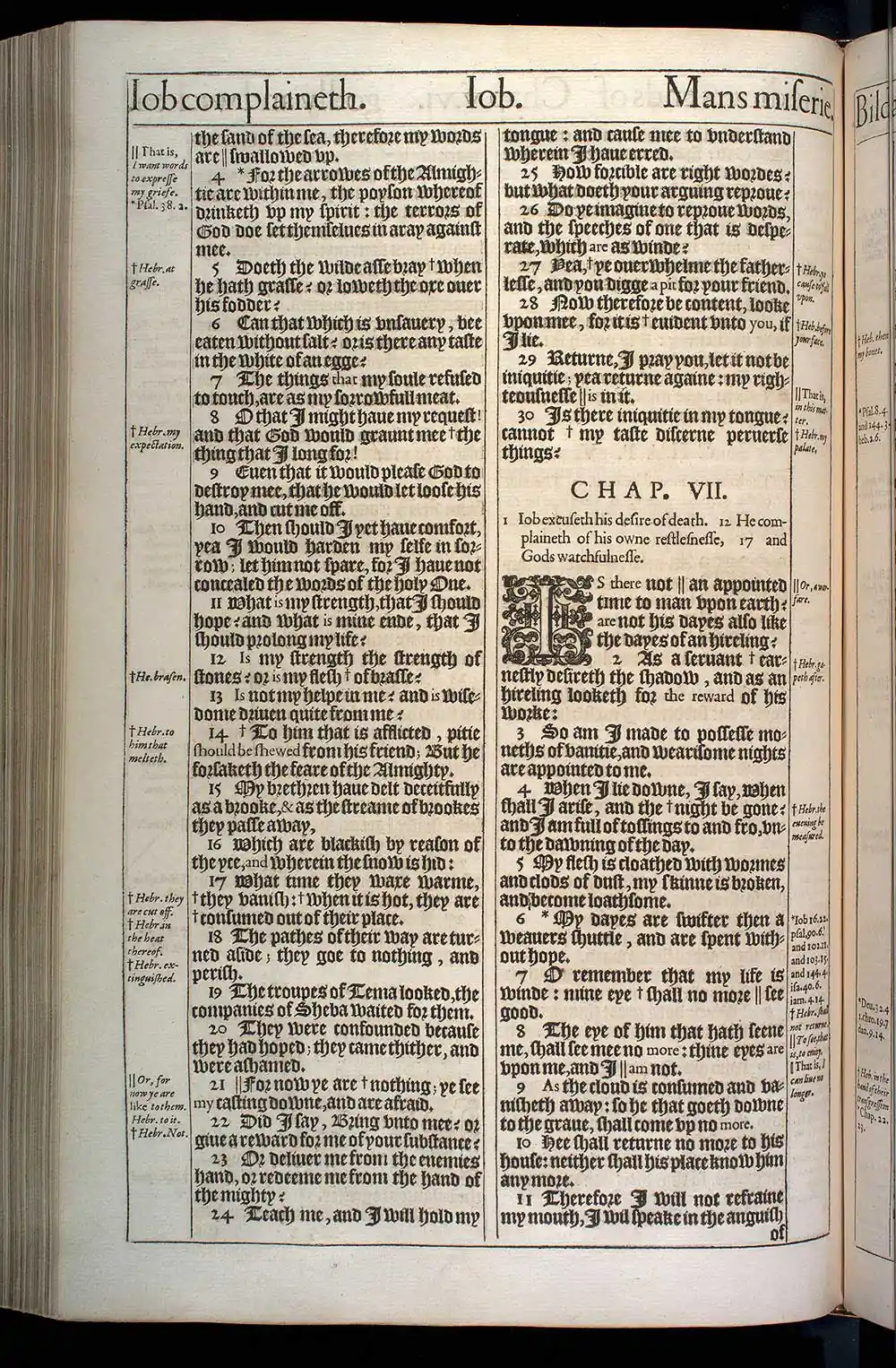 Job Chapter 6 Original 1611 KJV Bible Scan
