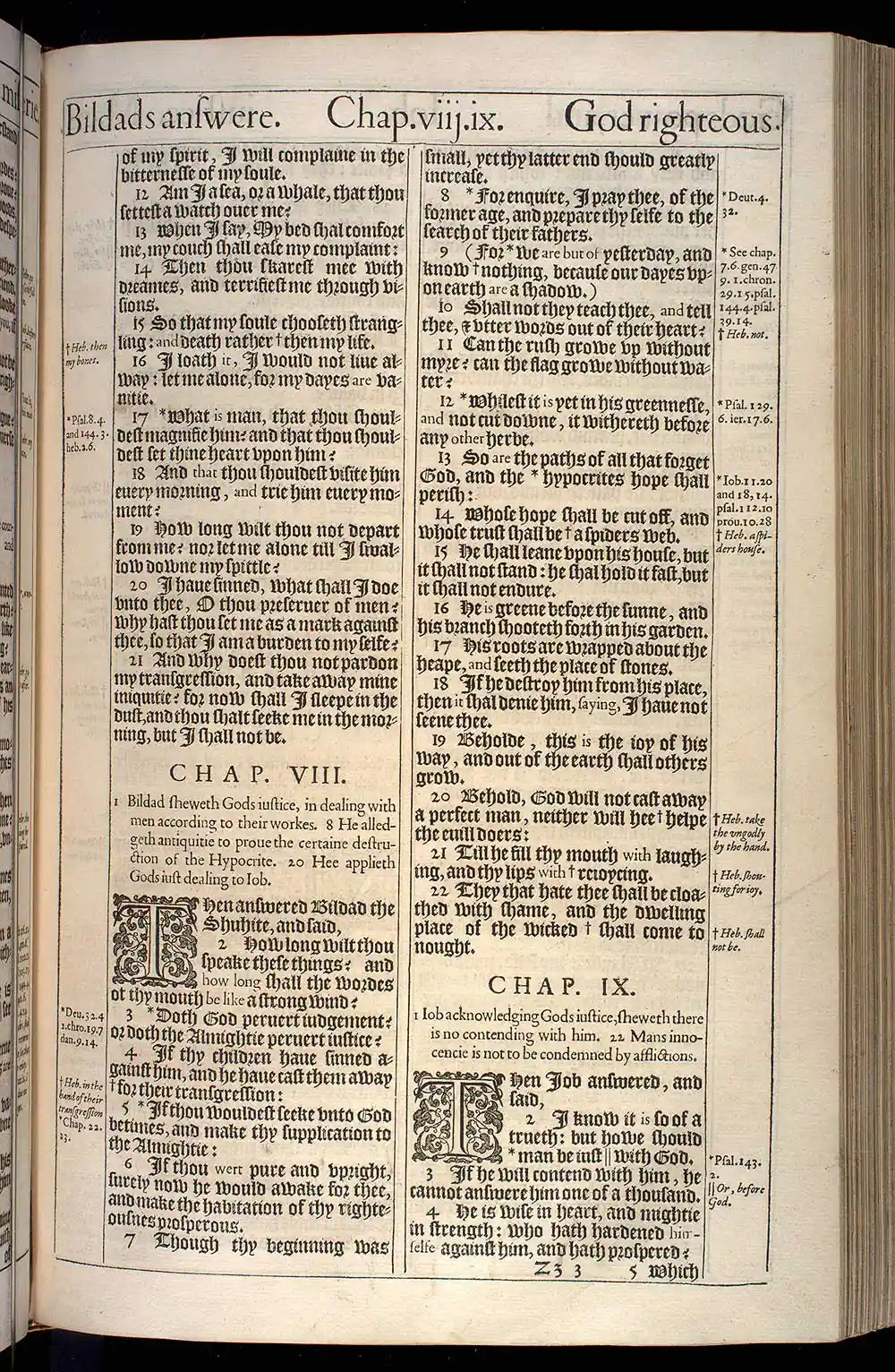 Job Chapter 8 Original 1611 KJV Bible Scan