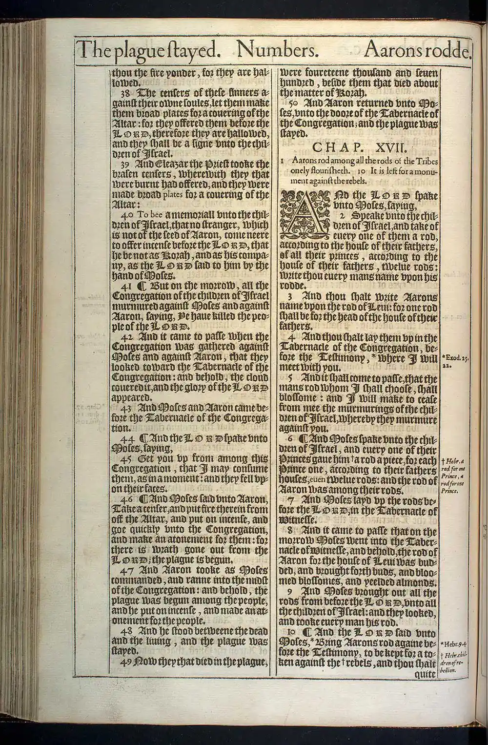 Numbers Chapter 17 Original 1611 KJV Bible Scan