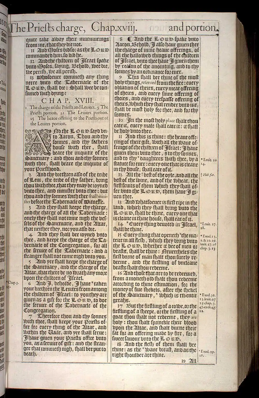 Numbers Chapter 18 Original 1611 KJV Bible Scan