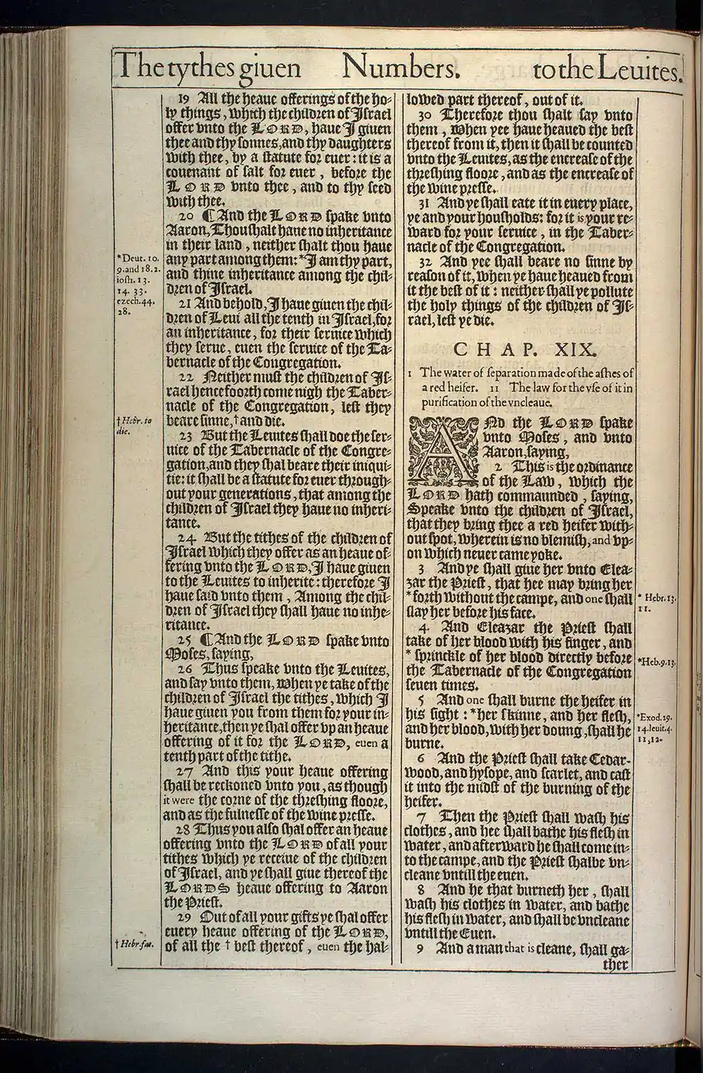 Numbers Chapter 18 Original 1611 KJV Bible Scan