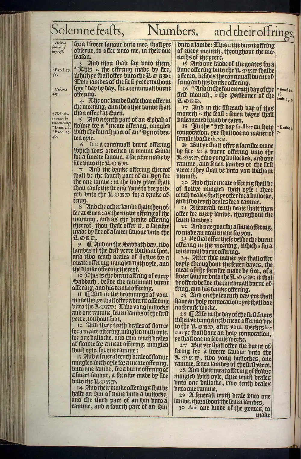 Numbers Chapter 28 Original 1611 KJV Bible Scan