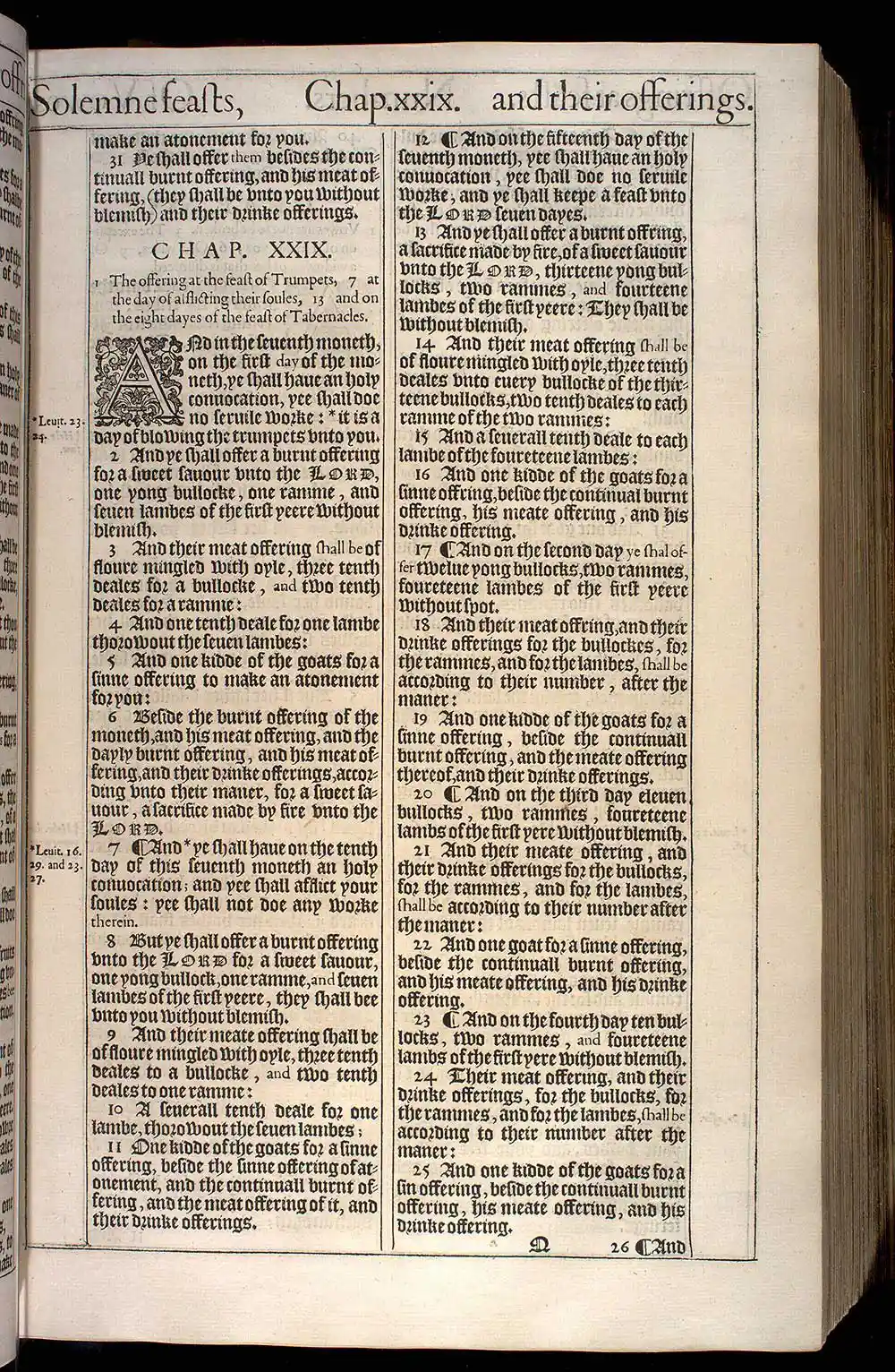 Numbers Chapter 28 Original 1611 KJV Bible Scan