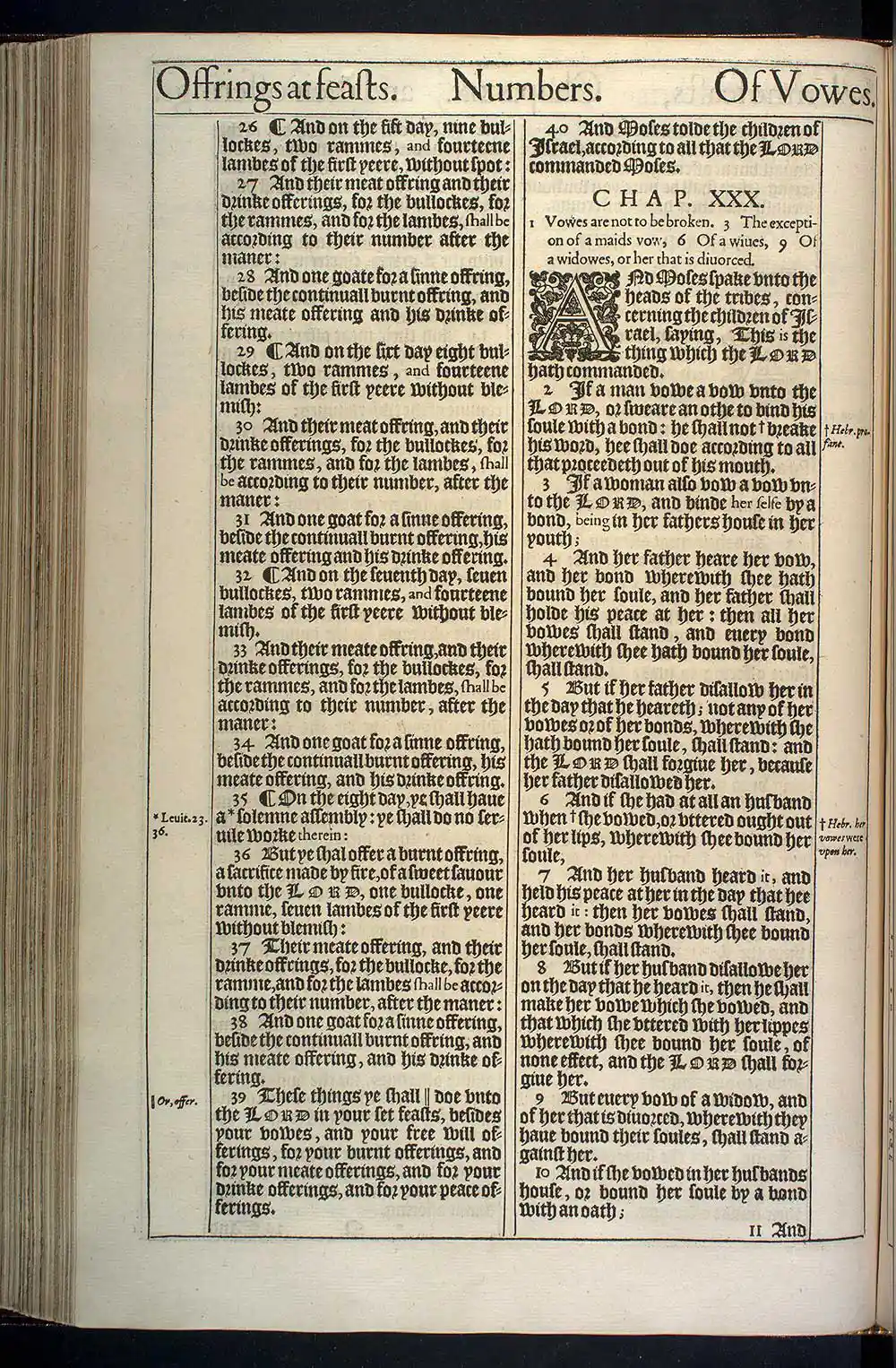 Numbers Chapter 30 Original 1611 KJV Bible Scan