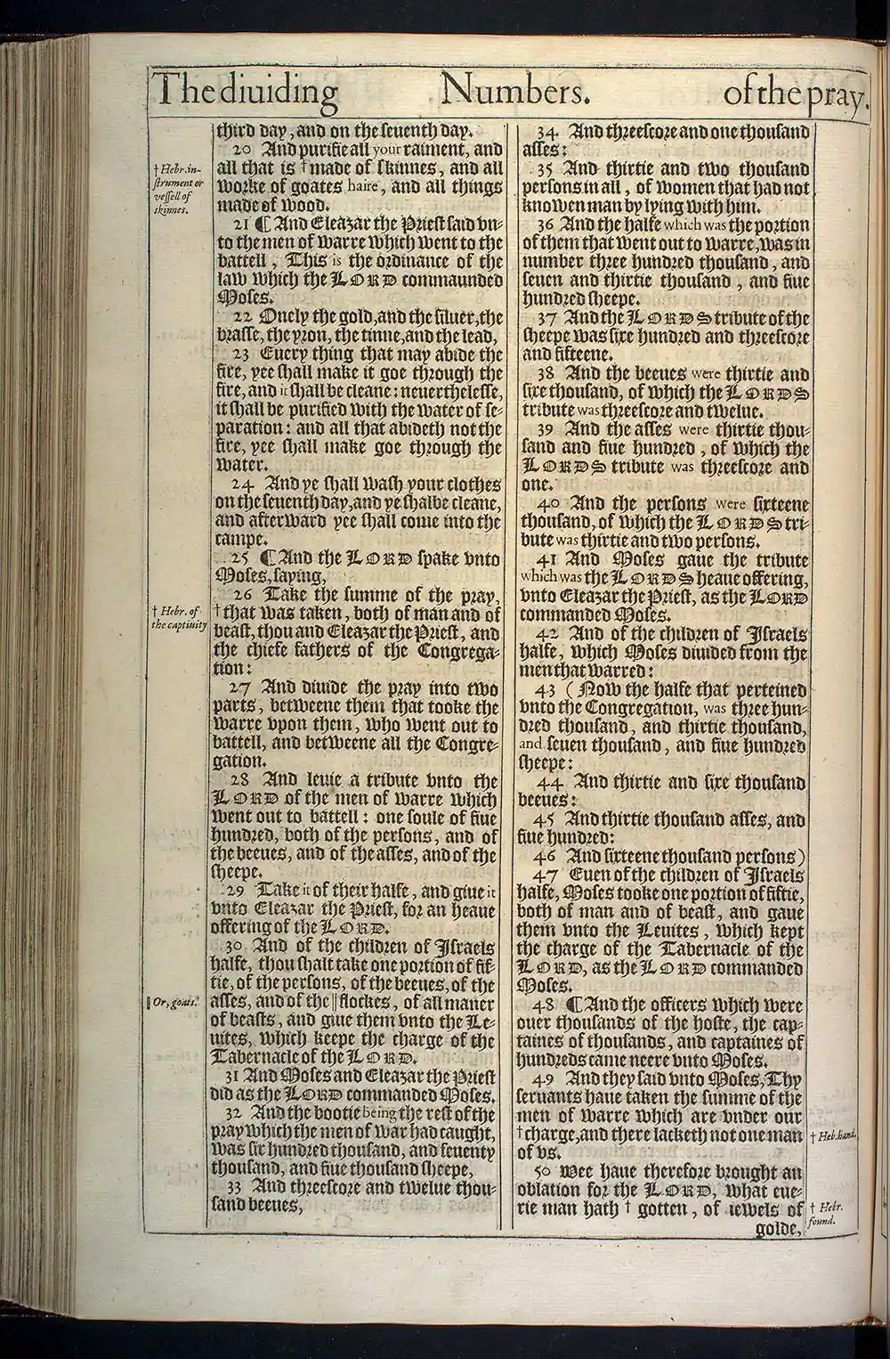 Numbers Chapter 31 Original 1611 KJV Bible Scan