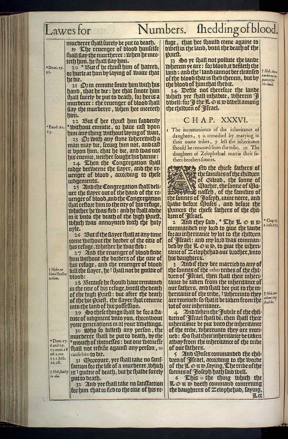 Numbers Chapter 35 Original 1611 KJV Bible Scan