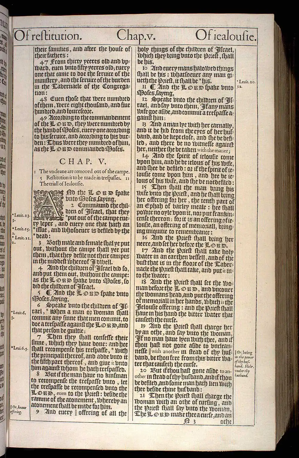 Numbers Chapter 5 Original 1611 KJV Bible Scan