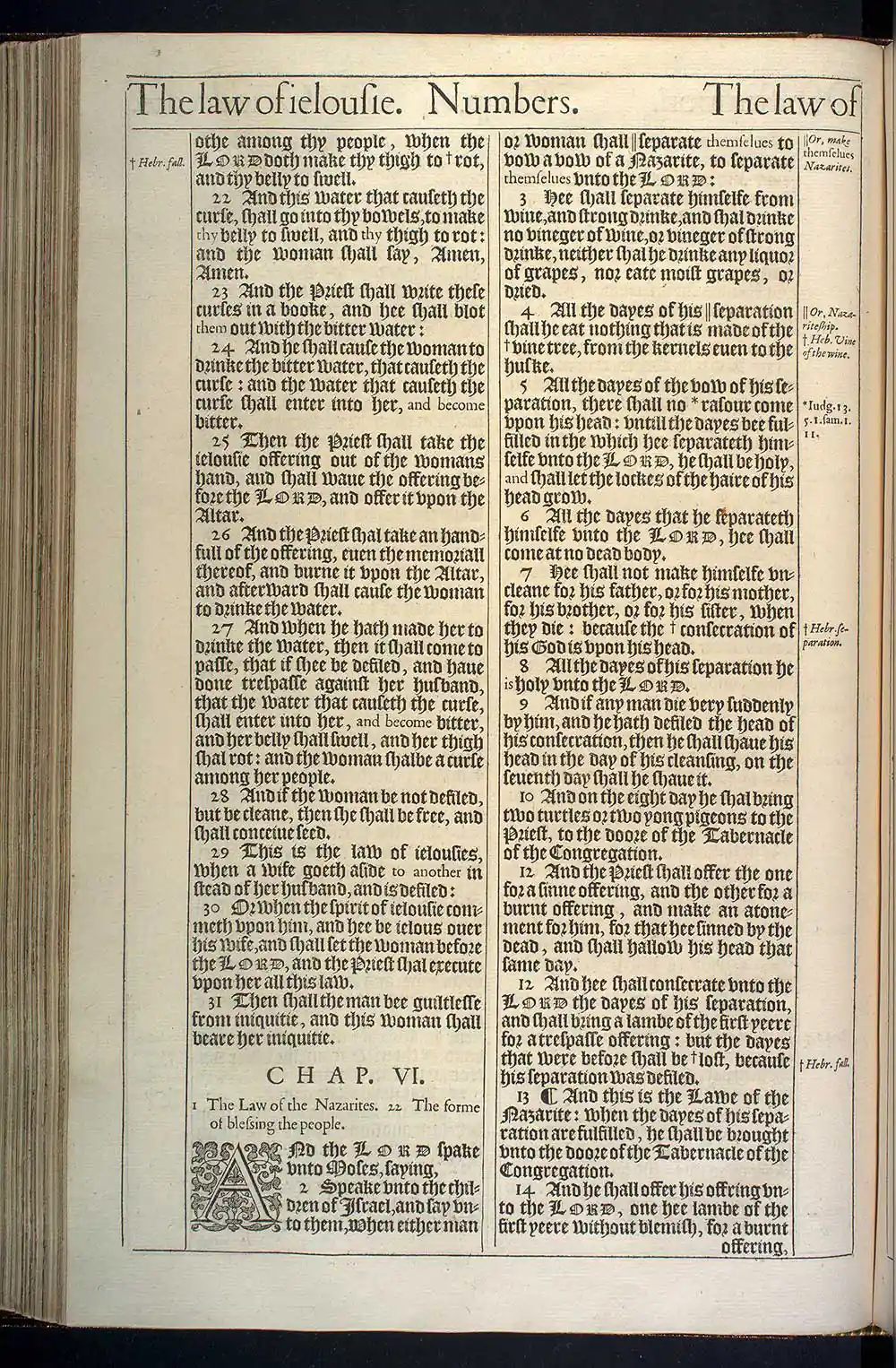 Numbers Chapter 6 Original 1611 KJV Bible Scan