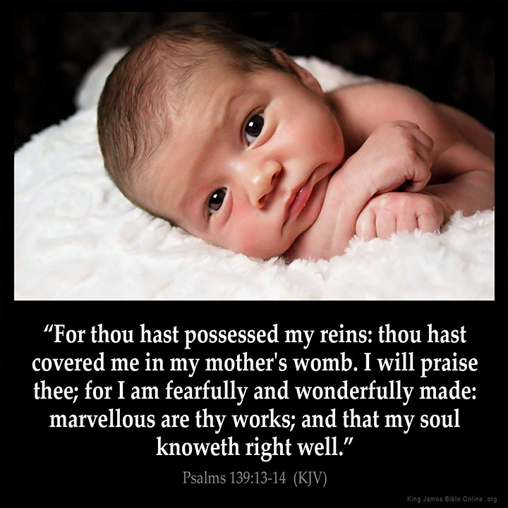 Psalms 139:13 Inspirational Image