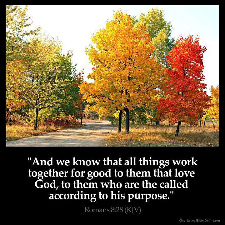 Romans 8:28 Inspirational Image